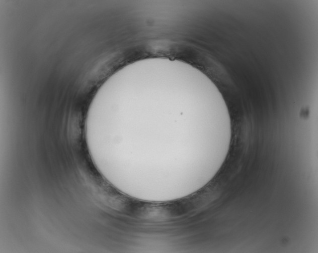 X0000115190702200911251420