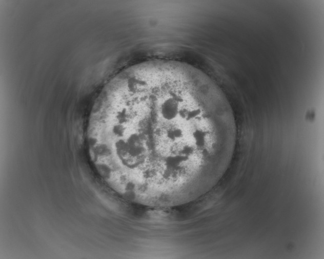 X0000115190703200911251420