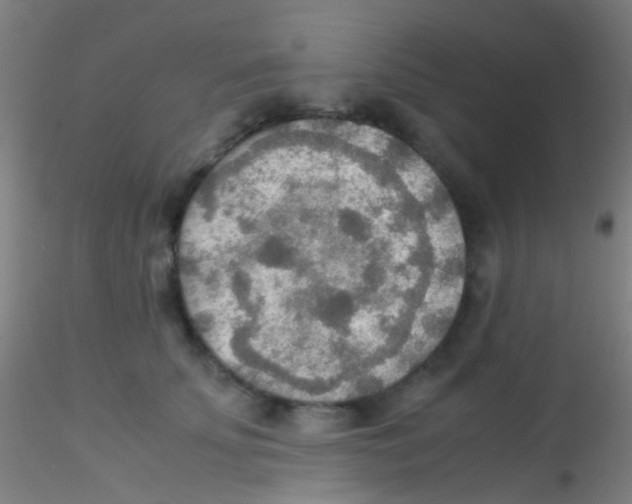 X0000115190707200911251420