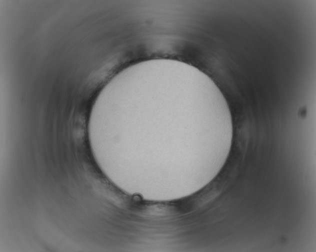 X0000115190708200911251420