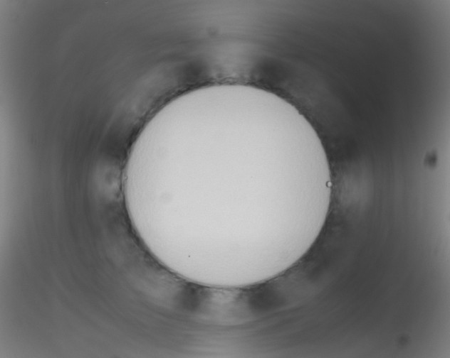 X0000115190709200911251420