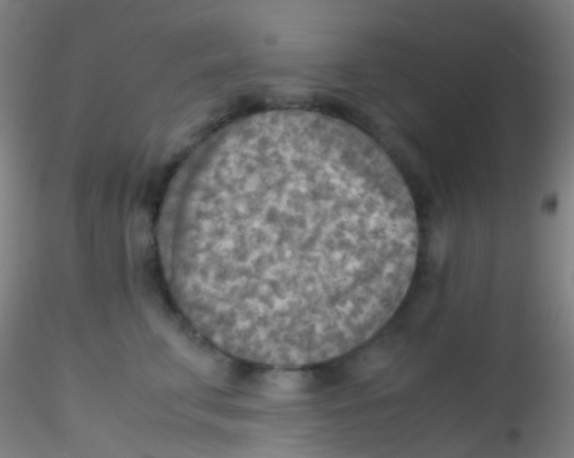 X0000115190711200911251419