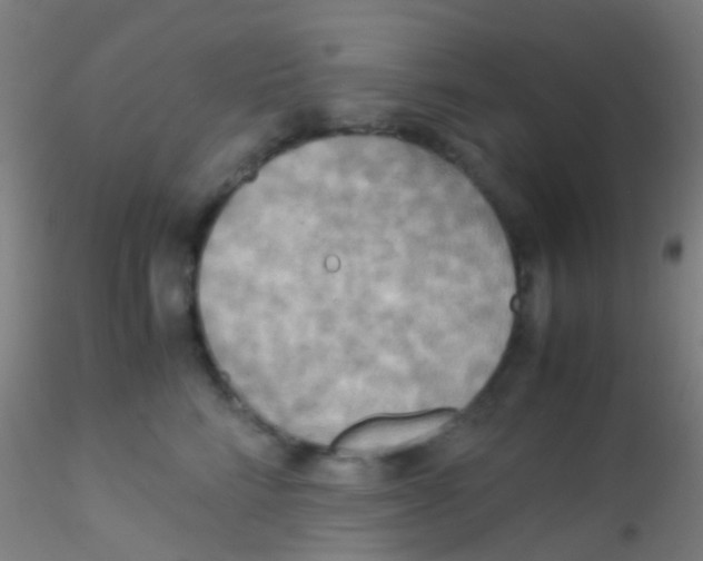 X0000115190712200911251419