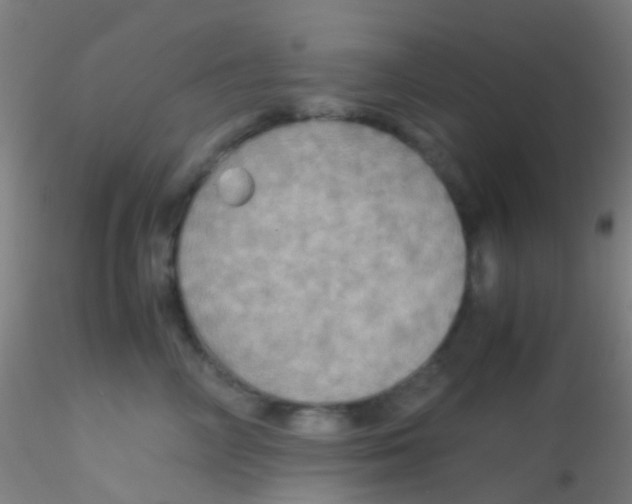 X0000115190714200911251419