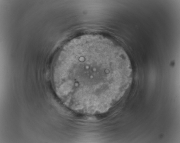 X0000115190715200911251419