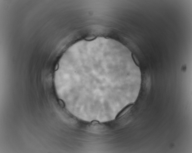 X0000115190716200911251419