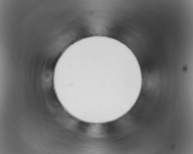 X0000115190717200911251419