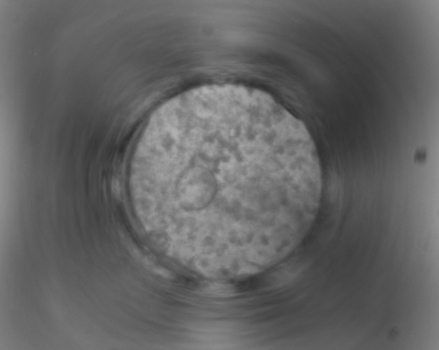 X0000115190719200911251419