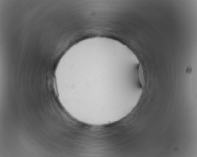 X0000115190720200911251419