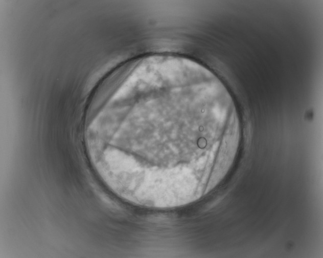 X0000115190721200911251419