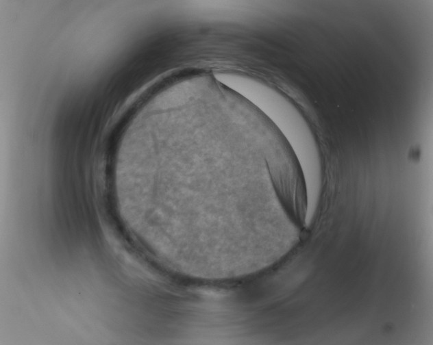 X0000115190722200911251419