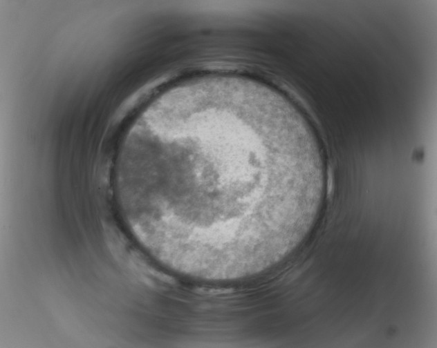 X0000115190723200911251419