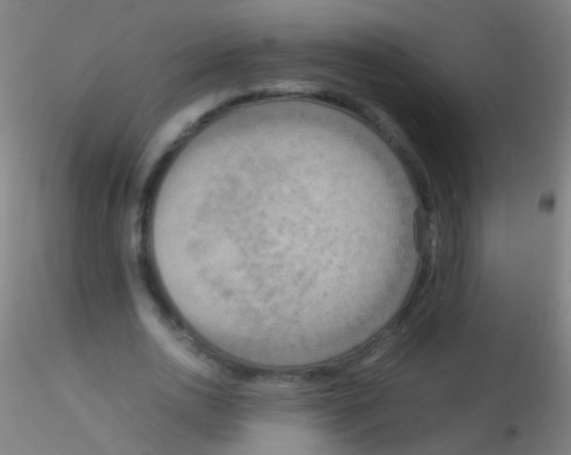 X0000115190726200911251419