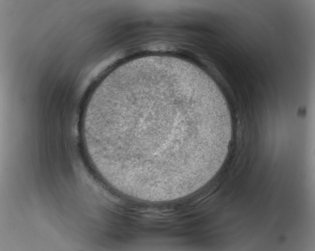 X0000115190727200911251419