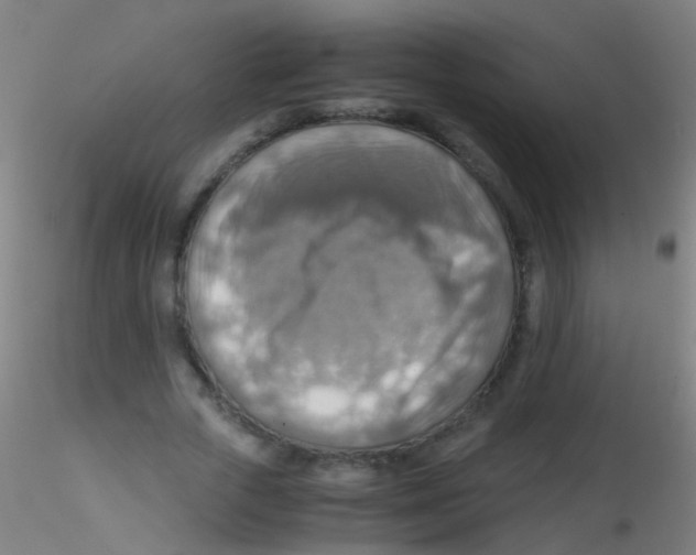 X0000115190729200911251419