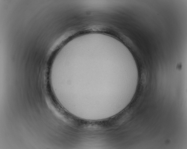 X0000115190730200911251419