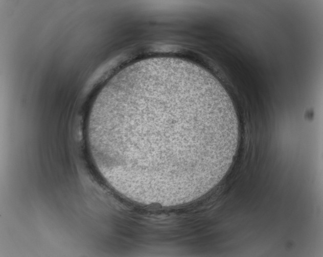 X0000115190731200911251419