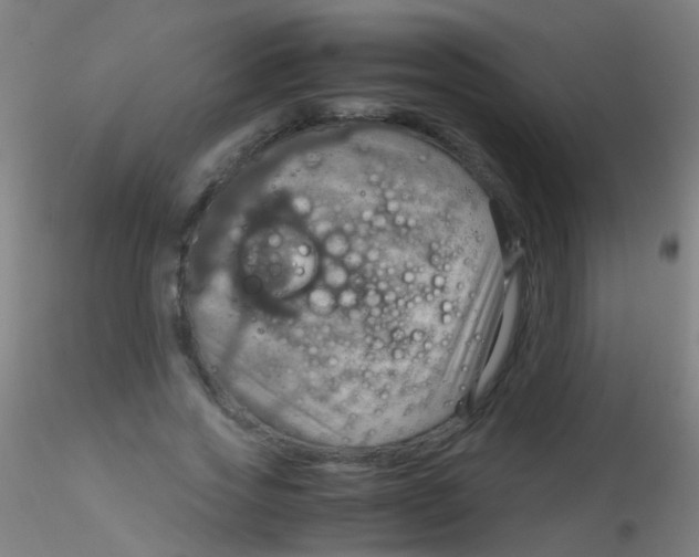 X0000115190733200911251419