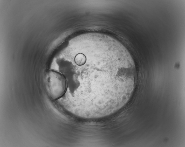 X0000115190734200911251419