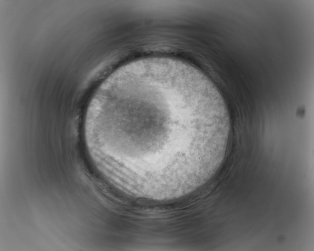 X0000115190735200911251419