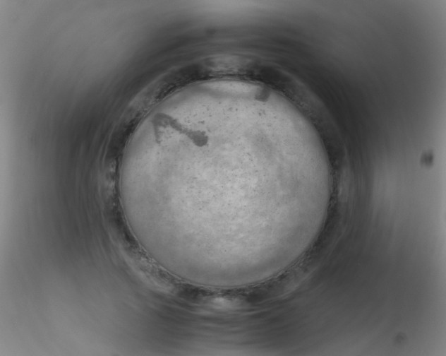 X0000115190737200911251419