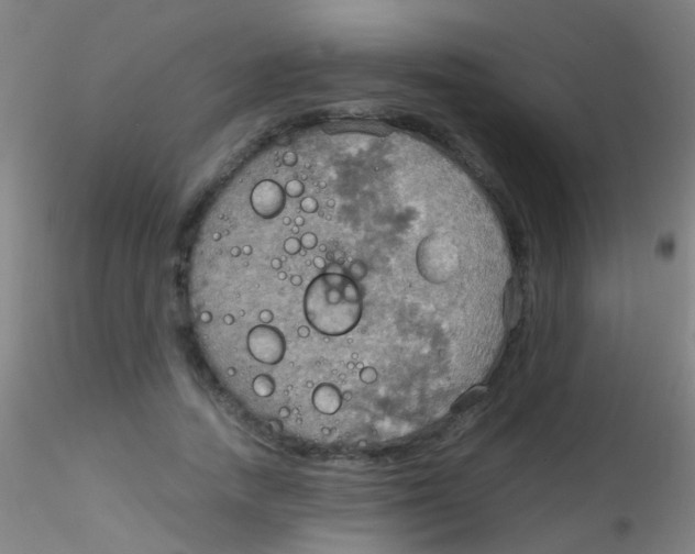 X0000115190738200911251419