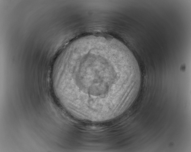 X0000115190739200911251419