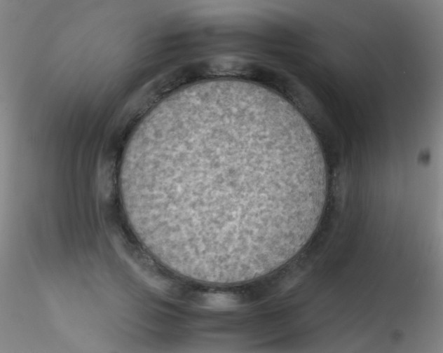 X0000115190741200911251419