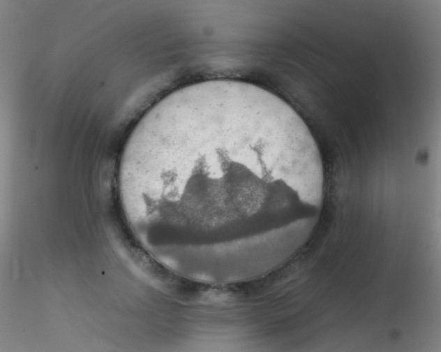 X0000115190742200911251419