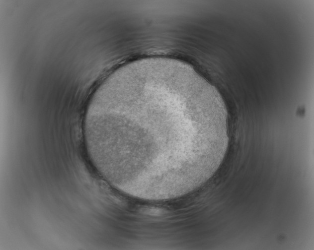 X0000115190743200911251419