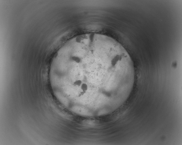 X0000115190745200911251419