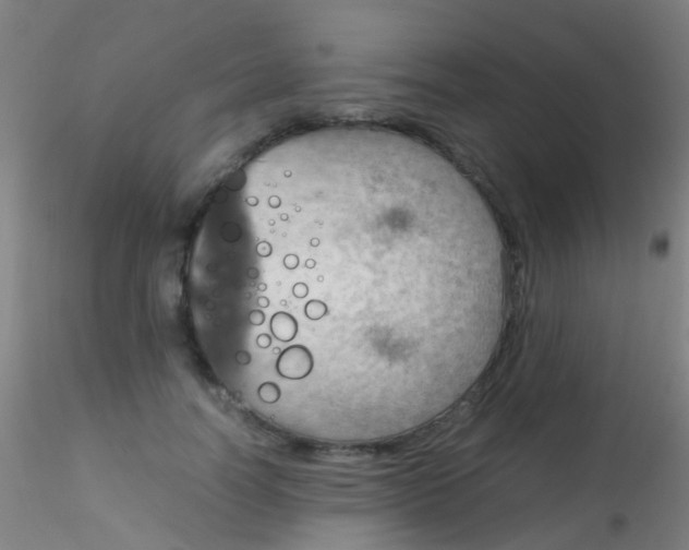 X0000115190746200911251419