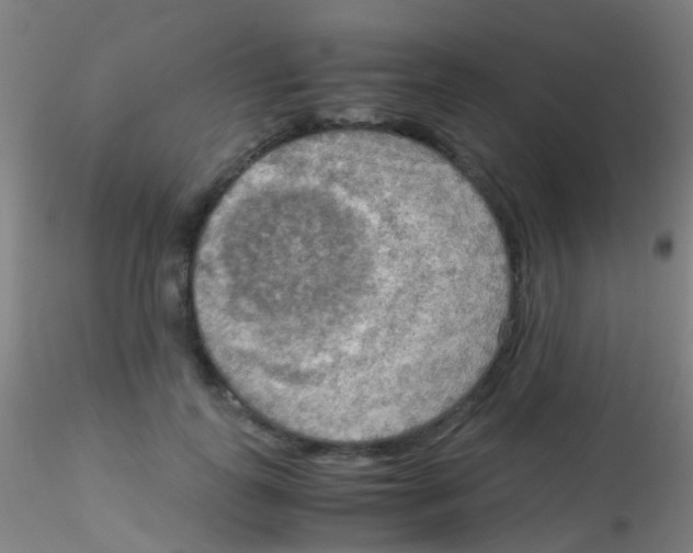 X0000115190747200911251419