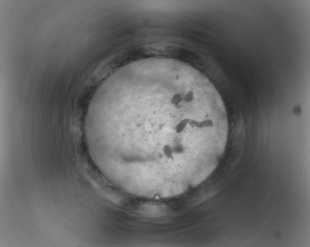 X0000115190749200911251419