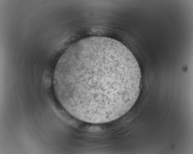 X0000115190751200911251419