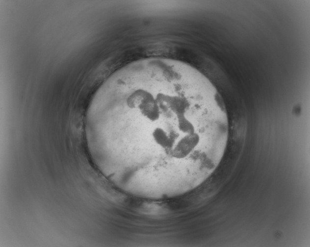 X0000115190753200911251419