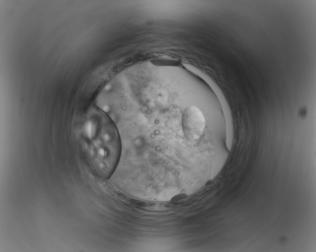 X0000115190754200911251419