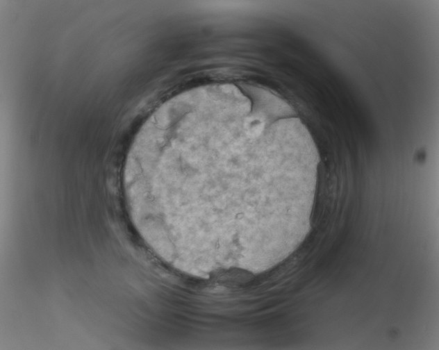 X0000115190755200911251419