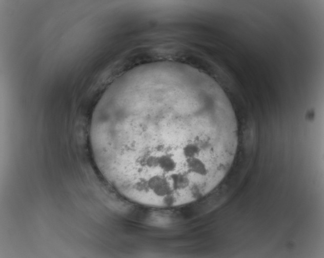 X0000115190757200911251419