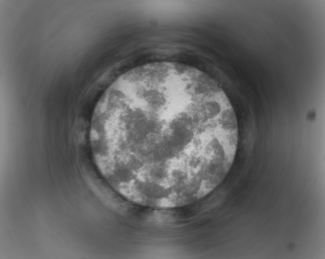 X0000115190758200911251419