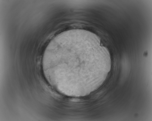 X0000115190759200911251419