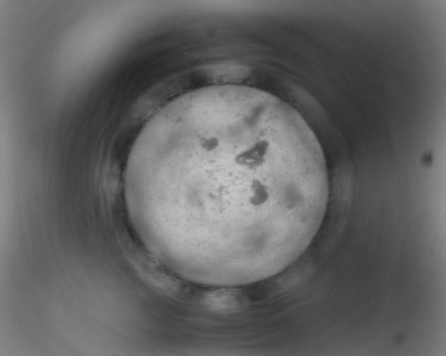 X0000115190761200911251419