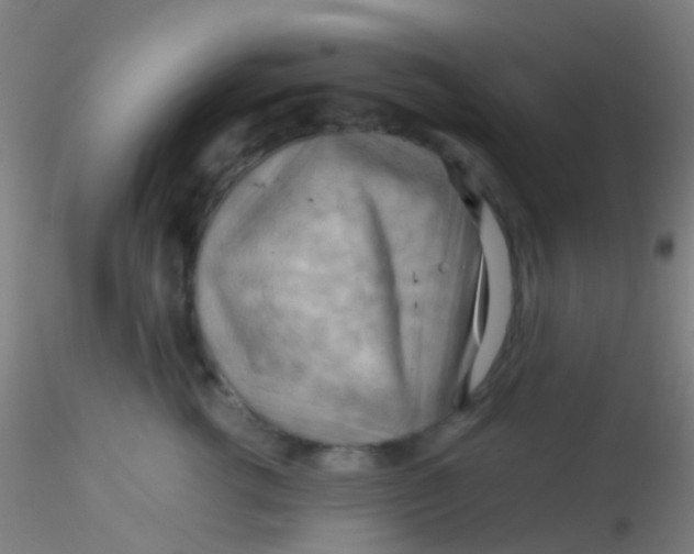 X0000115190762200911251419