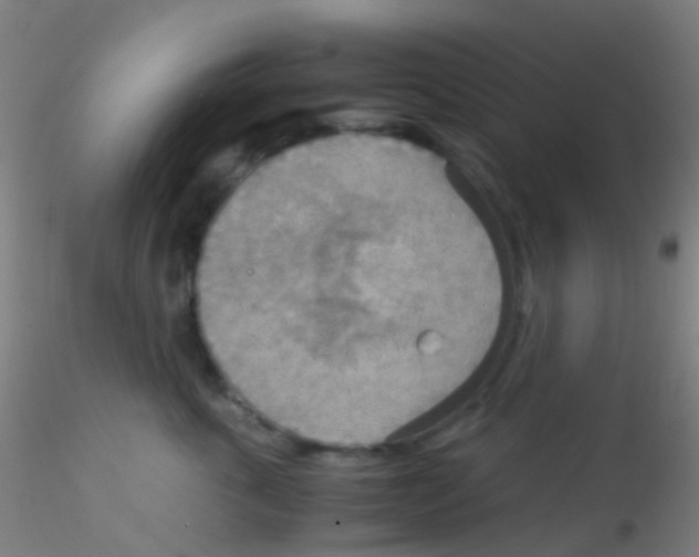 X0000115190763200911251419