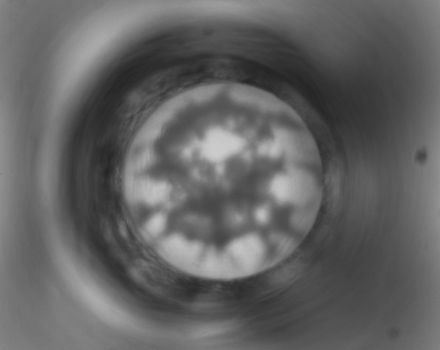 X0000115190765200911251419