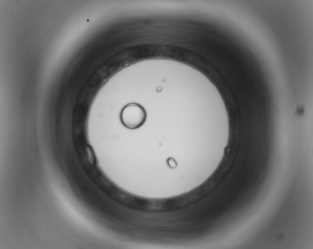 X0000115190766200911251419