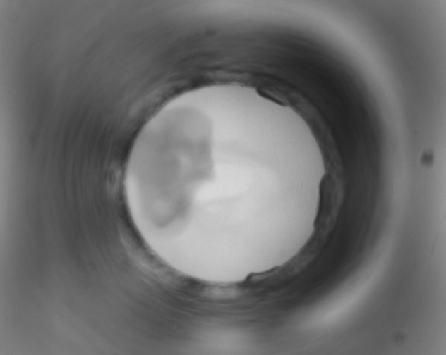 X0000115190767200911251419