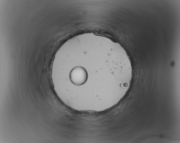 X0000115190769200911251419