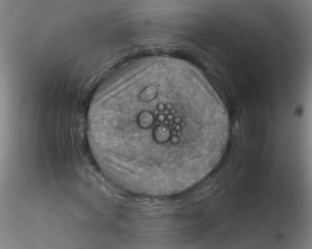 X0000115190772200911251419