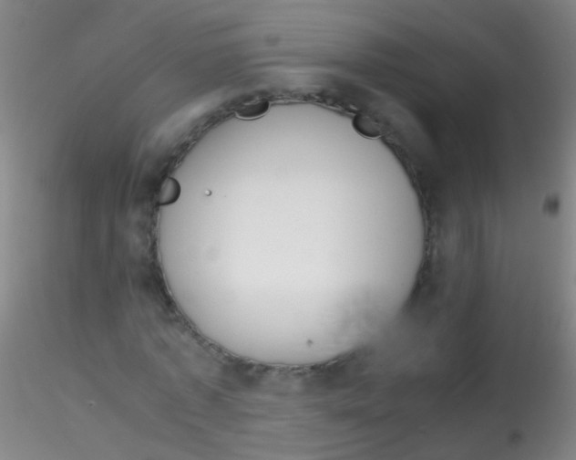 X0000115190773200911251419